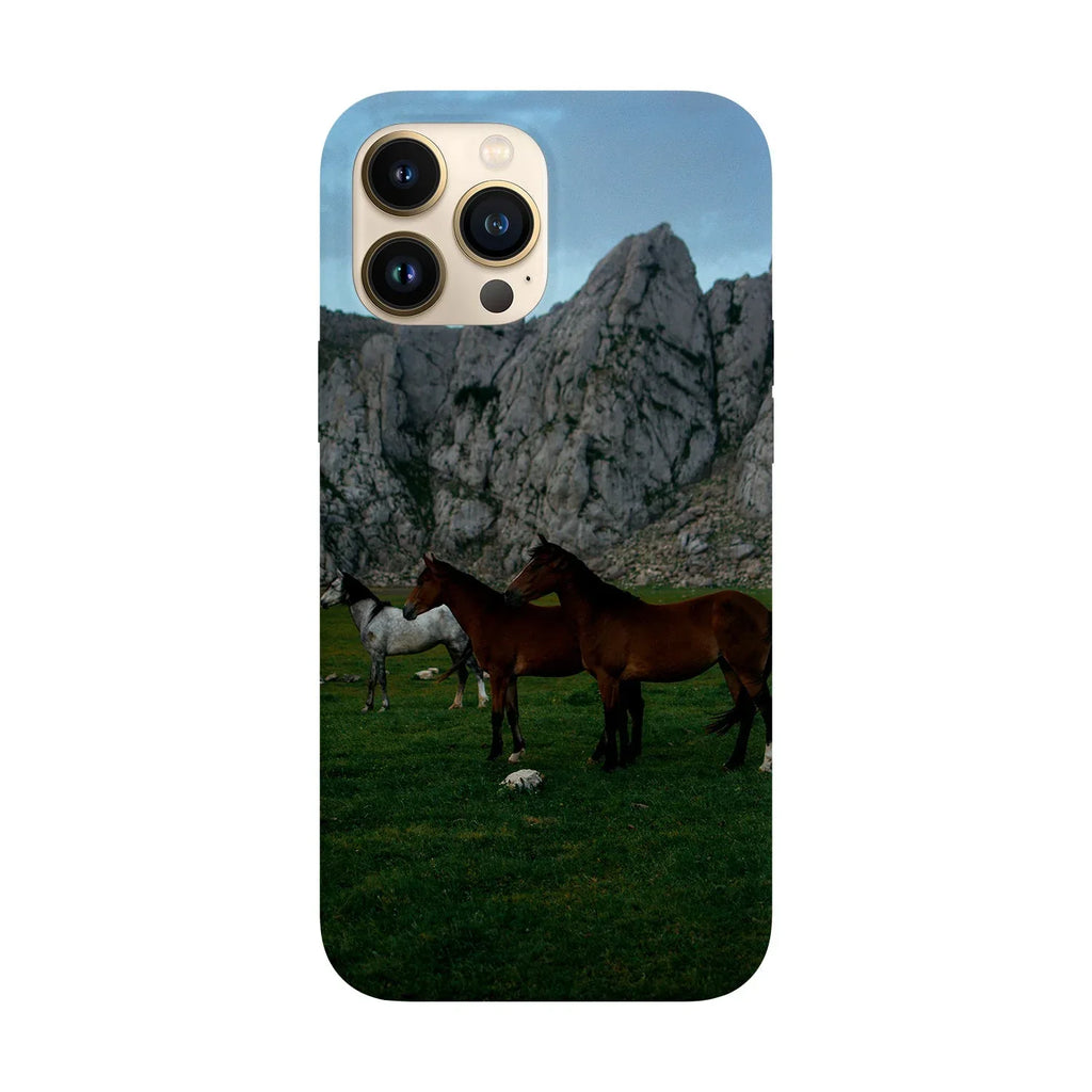Husa compatibila cu Apple iPhone 15 model Wild Horses, Silicon, TPU, Viceversa - Viceversa