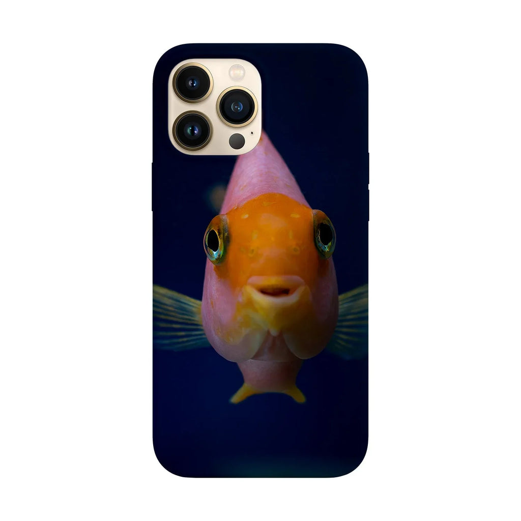 Husa compatibila cu Apple iPhone 15 model Hi I'm Fish, Silicon, TPU, Viceversa - Viceversa