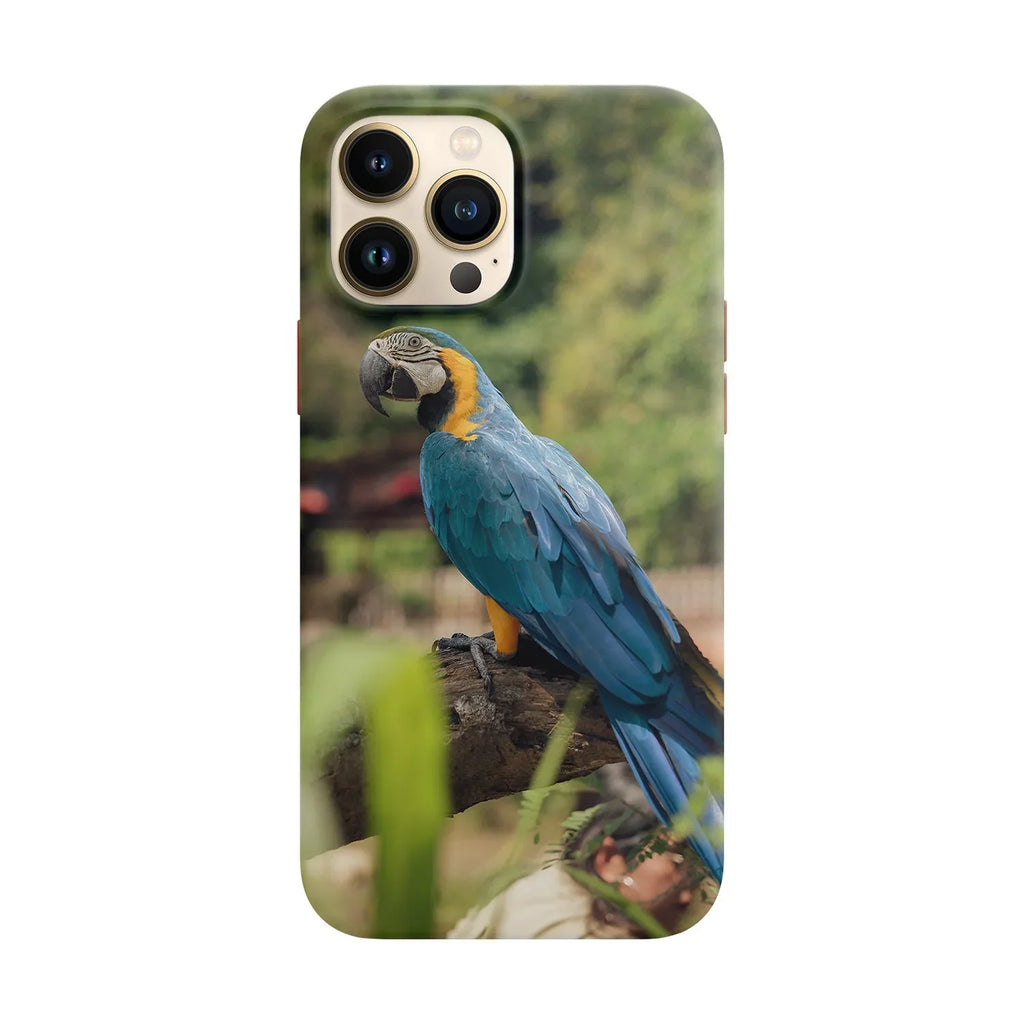 Husa compatibila cu Apple iPhone 15 Plus model BLUE AND GOLD MACAW, Silicon, TPU, Viceversa - Viceversa