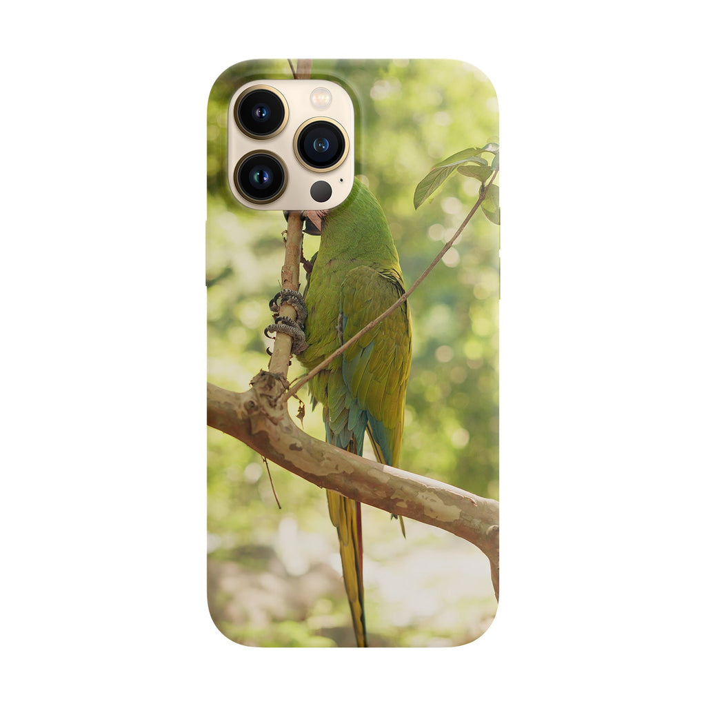 8b40b06c479ecdcc7e25288c3a6060bb