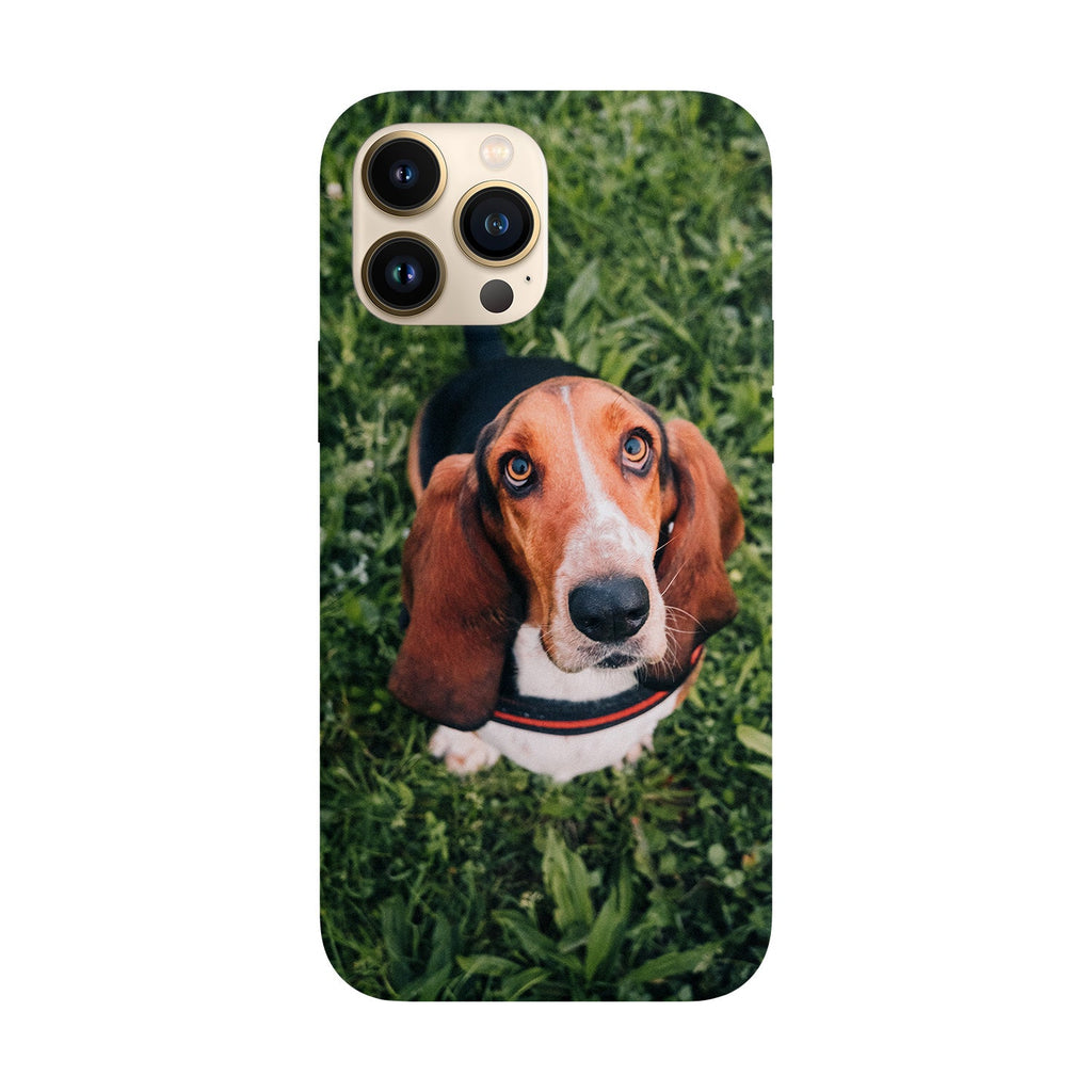 5630b362940abadada17c5aad1453814