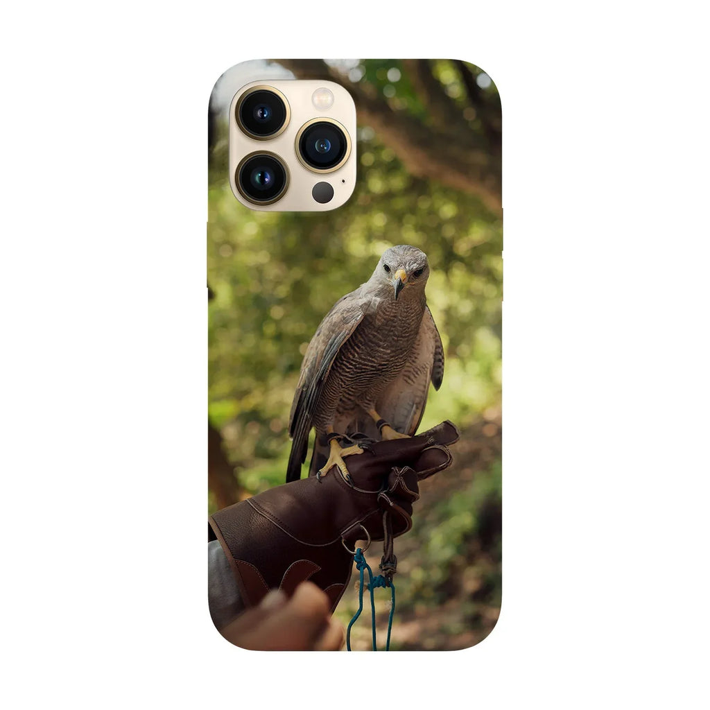Husa compatibila cu Apple iPhone 15 model Eagle Trainer, Silicon, TPU, Viceversa - Viceversa