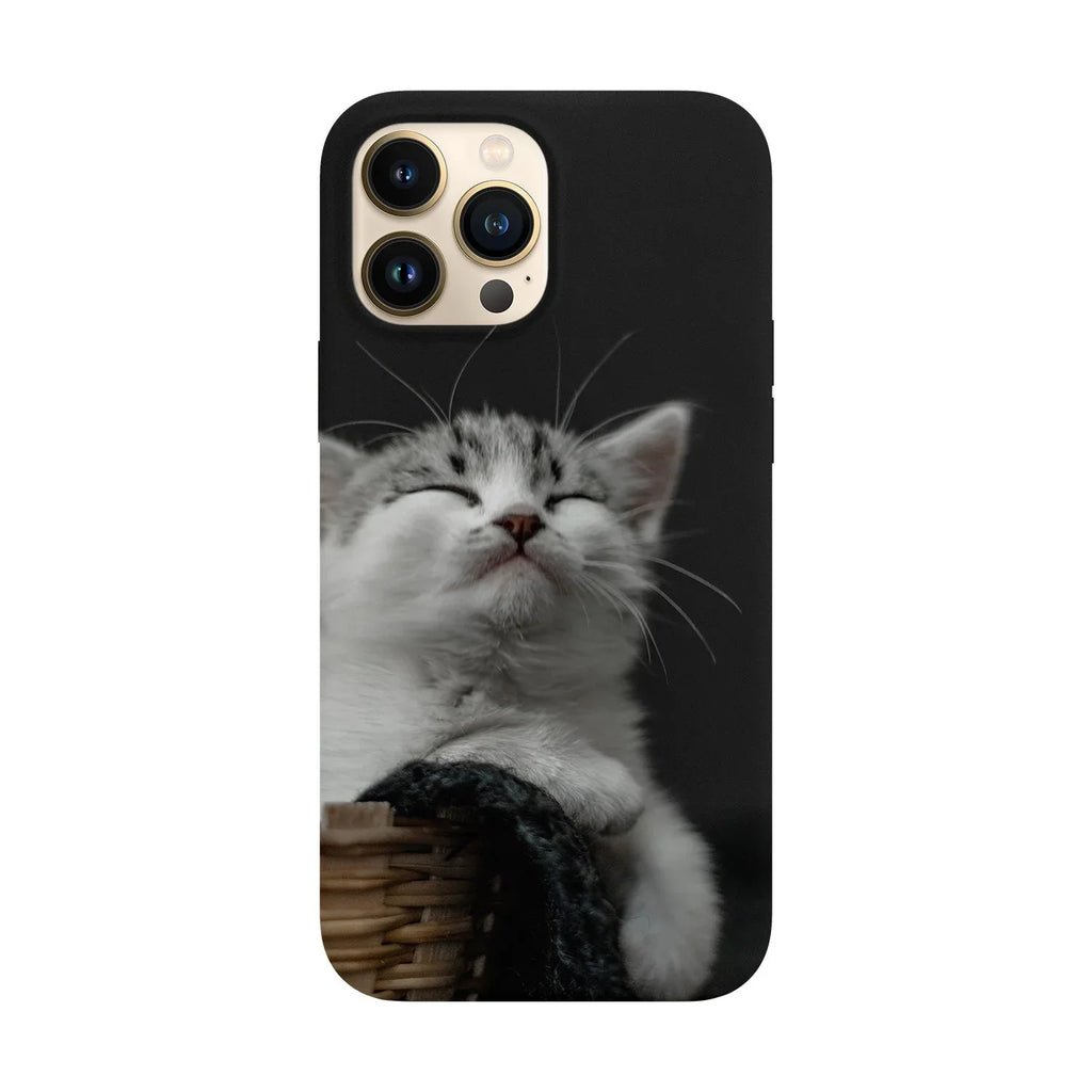 Husa compatibila cu Apple iPhone 15 model Smug cat, Silicon, TPU, Viceversa - Viceversa