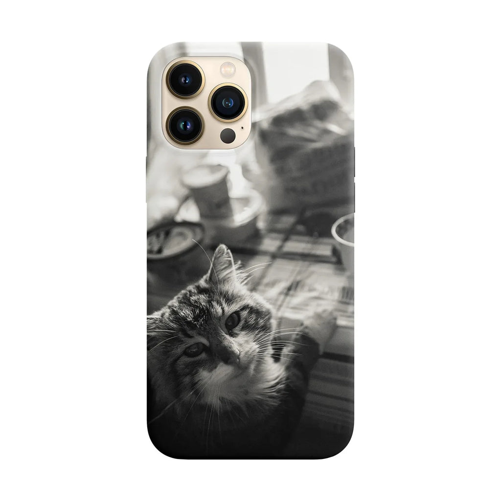 Husa compatibila cu Apple iPhone 15 model Dinner time, Silicon, TPU, Viceversa - Viceversa