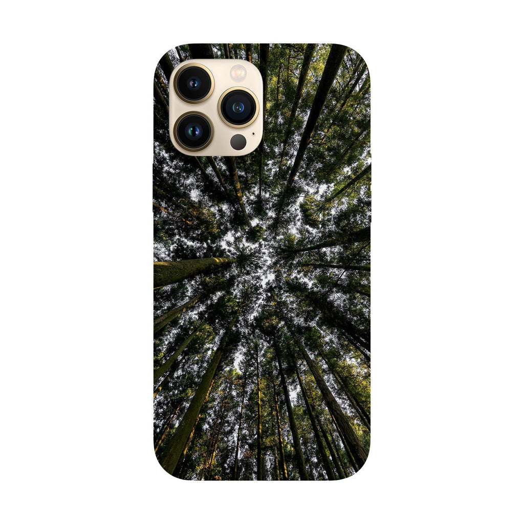 Deep into the forest