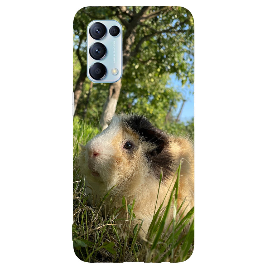 Husa compatibila cu Oppo Reno 5 4G model Hi I am Cookie, Silicon, TPU, Viceversa