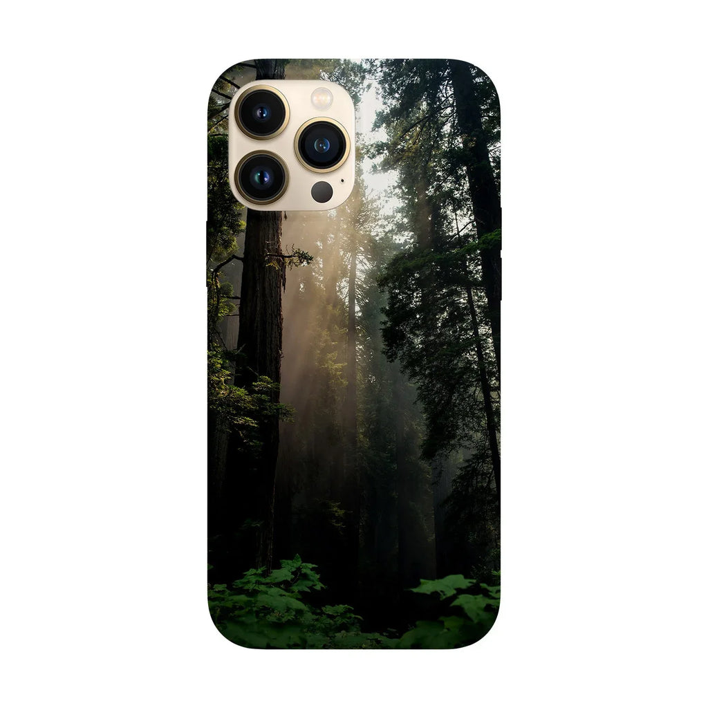 Light into the forest darkness - Viceversa