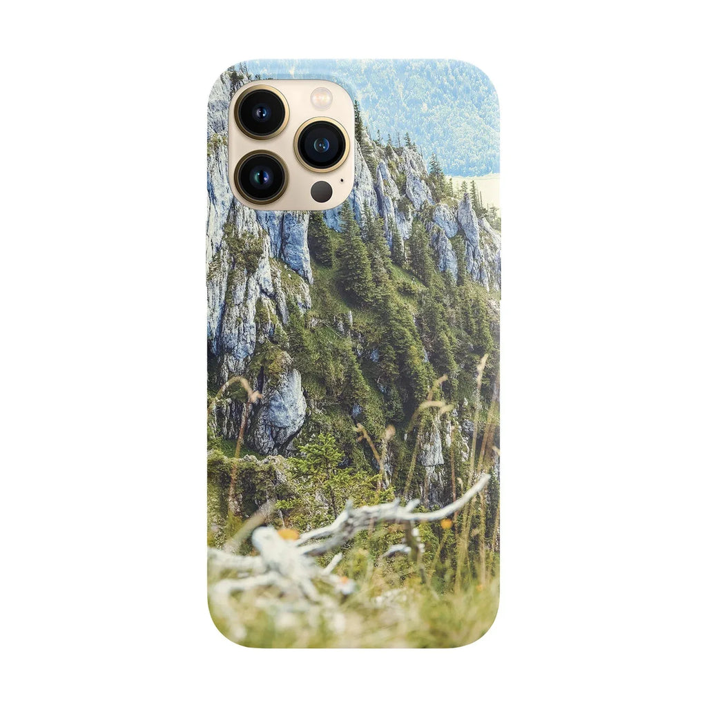 Mountain scenery - Viceversa