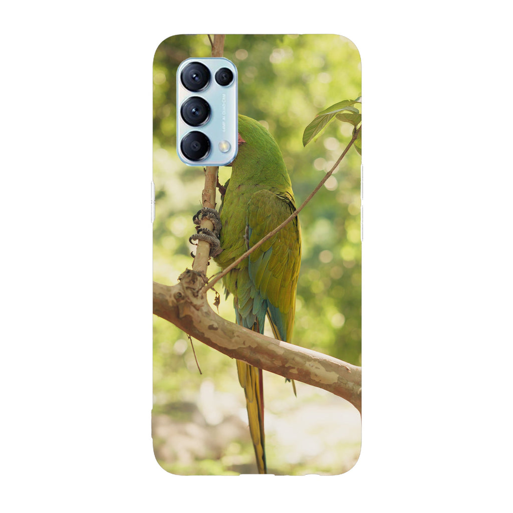 Husa compatibila cu Oppo Reno 5 4G model Macaw snack, Silicon, TPU, Viceversa