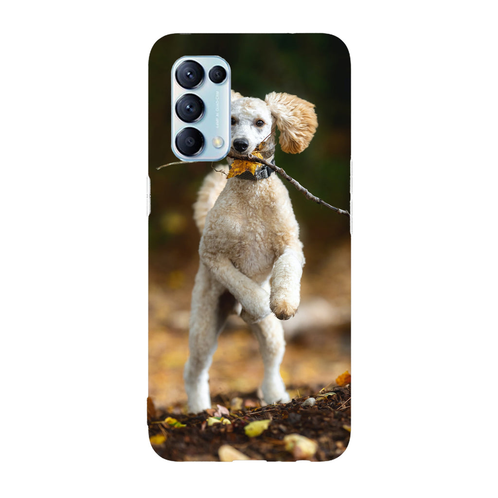 Husa compatibila cu Oppo Reno 5 4G model Play Date, Silicon, TPU, Viceversa