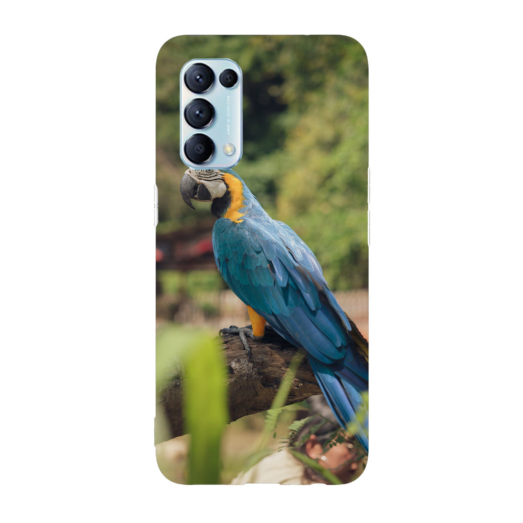 Husa compatibila cu Oppo Reno 5 4G model Blue and gold Macaw, Silicon, TPU, Viceversa