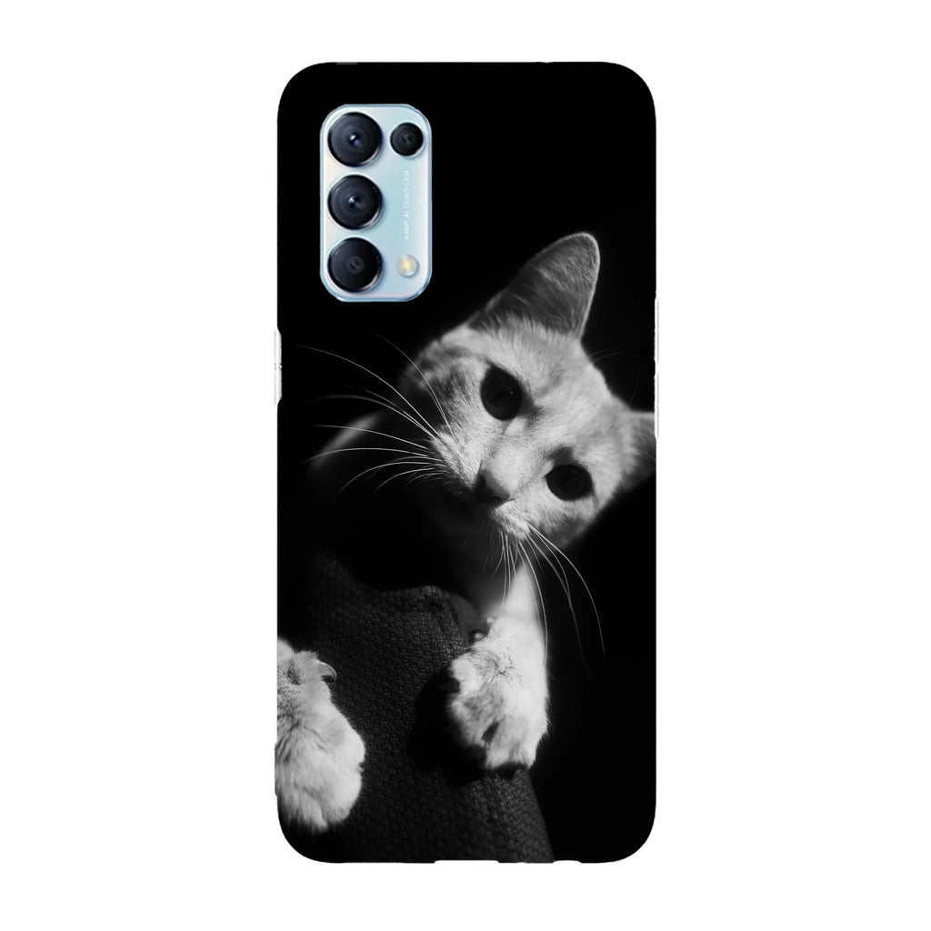 Husa compatibila cu Oppo Reno 5 5G model curious cat, Silicon, TPU, Viceversa - Viceversa